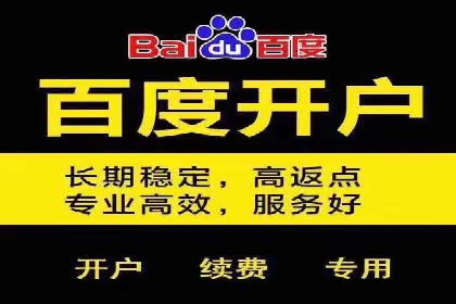 成功案例：百度推广代理商助力产品快速崛起